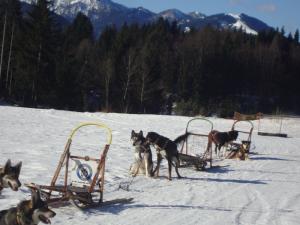 Прикачена снимка