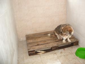 Прикачена снимка