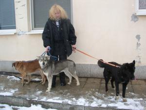 Прикачена снимка