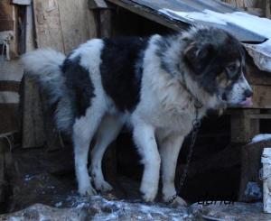 Прикачена снимка