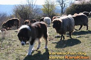 Прикачена снимка