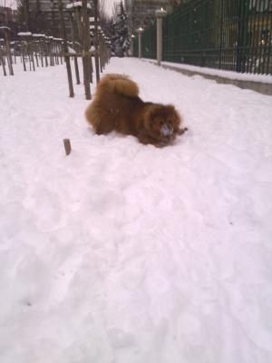Прикачена снимка