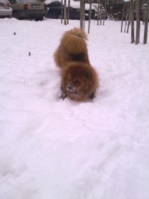 Прикачена снимка