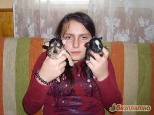 Прикачена снимка