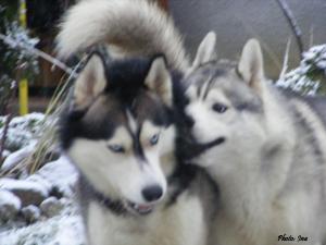 Прикачена снимка