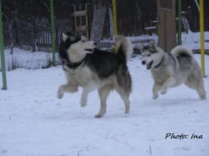Прикачена снимка