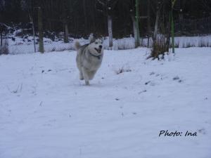 Прикачена снимка