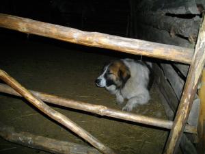 Прикачена снимка