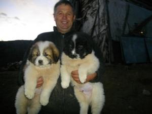Прикачена снимка