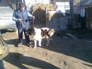 Прикачена снимка