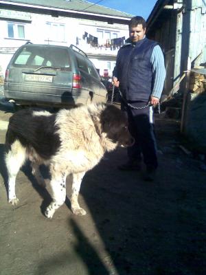 Прикачена снимка