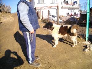 Прикачена снимка