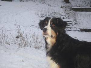 Прикачена снимка