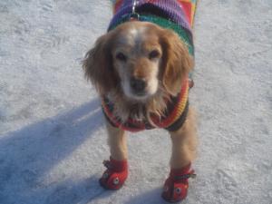 Прикачена снимка