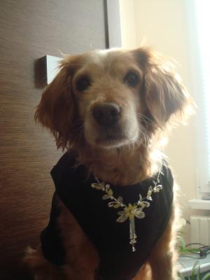 Прикачена снимка