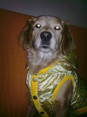 Прикачена снимка