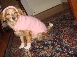 Прикачена снимка