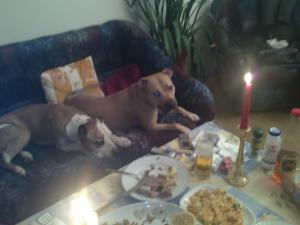 Прикачена снимка