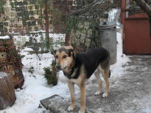 Прикачена снимка