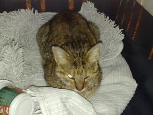 Прикачена снимка