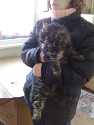 Прикачена снимка