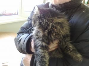 Прикачена снимка