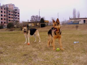 Прикачена снимка