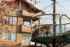 Прикачена снимка