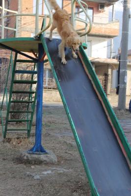 Прикачена снимка