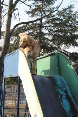 Прикачена снимка