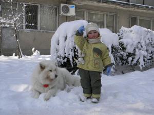 Прикачена снимка