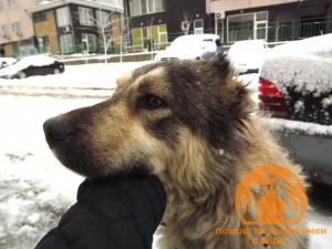 Прикачена снимка