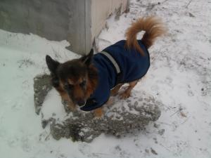 Прикачена снимка