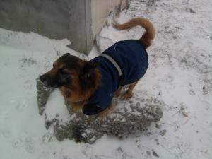 Прикачена снимка