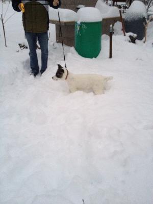 Прикачена снимка