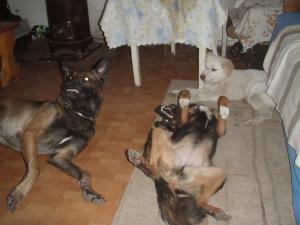Прикачена снимка