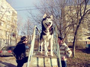 Прикачена снимка