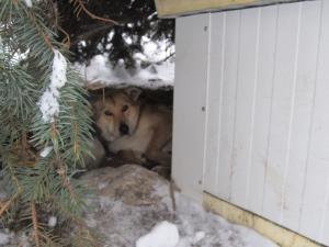 Прикачена снимка