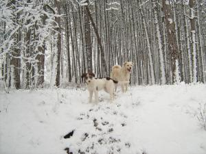 Прикачена снимка