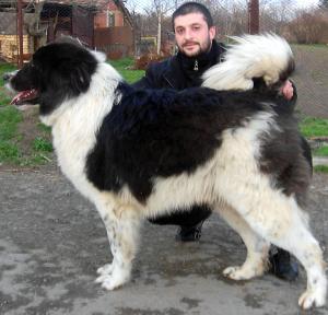 Прикачена снимка