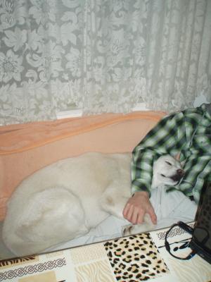 Прикачена снимка