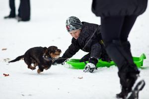 Прикачена снимка