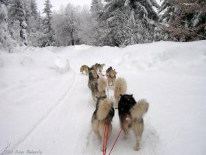 Прикачена снимка