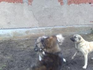 Прикачена снимка