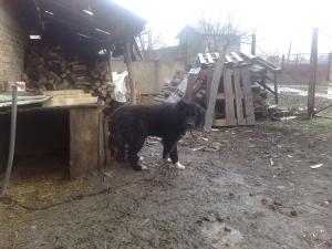 Прикачена снимка