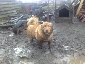 Прикачена снимка
