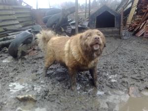 Прикачена снимка