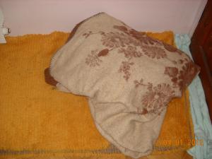 Прикачена снимка