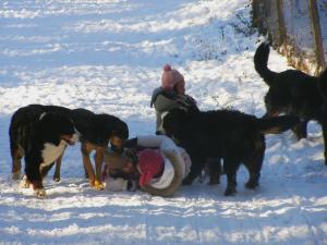 Прикачена снимка