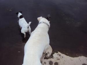 Прикачена снимка